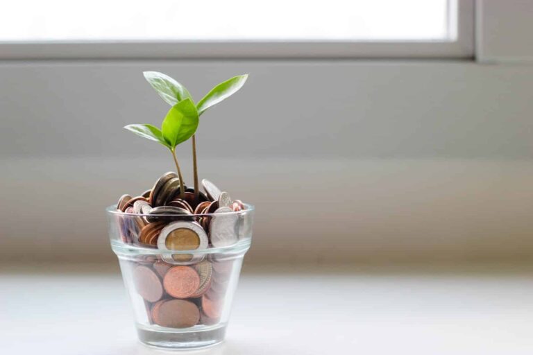 Money manager: financial tips for your business