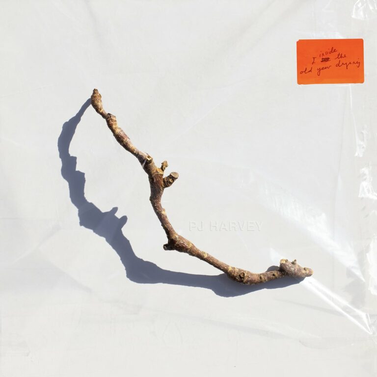 Albums Out Today: PJ Harvey, Julie Byrne, ANOHNI and the Johnsons, 12 Rods, and More