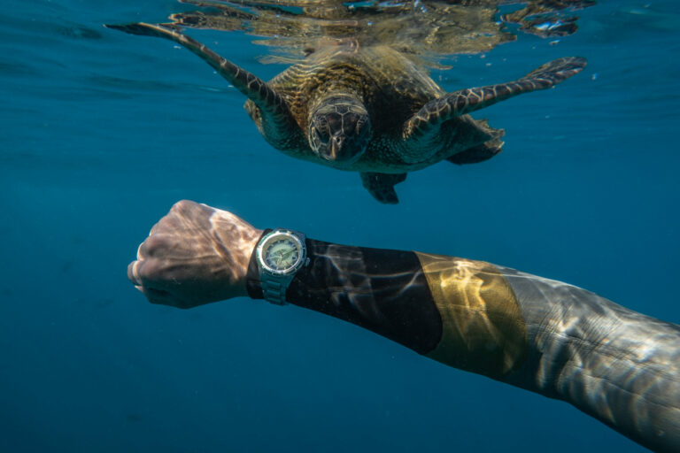 Spinnaker Join Forces with the Marine Conservation Society