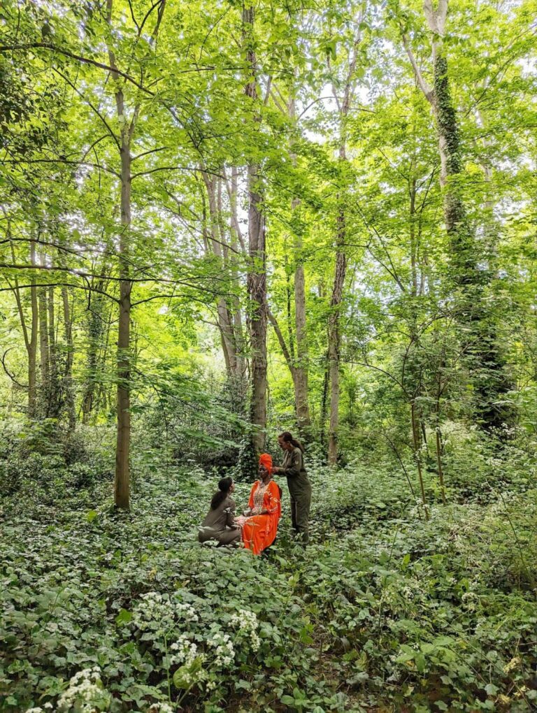 Orleans House Gallery to Host Site-Specific Exhibition by Phoebe Boswell