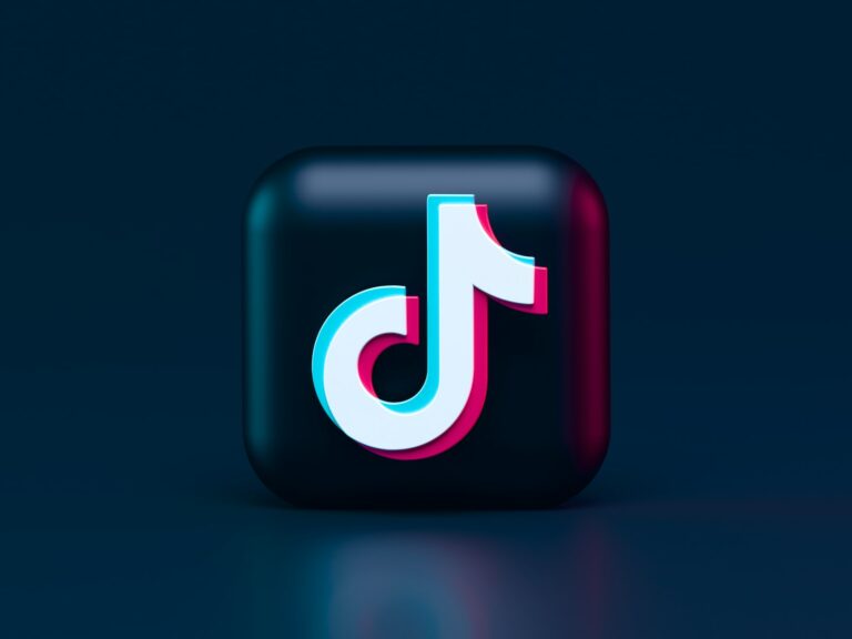 TikTok Panel Guide: 8 Best Choices to Reach the Top