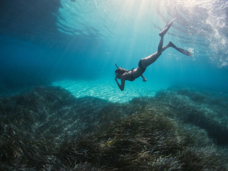 The Top Three Snorkelling Spots in Raja Ampat, Indonesia