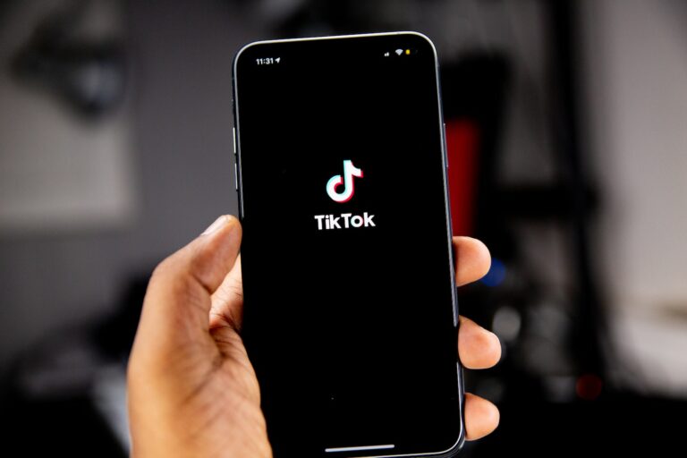 How to Become A Successful TikTok Influencer in 2023?