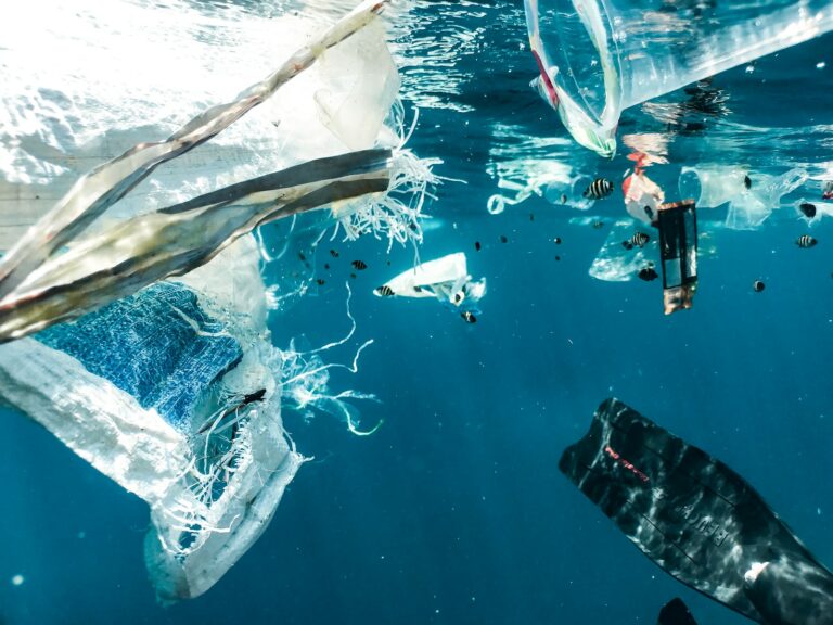 The Pollution of Modern Fashion