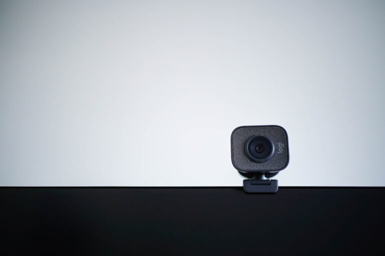 Should You Trust Adult Webcam Modeling Agencies? Here’s What the Internet Says