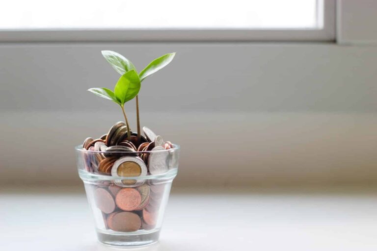 The Art of Money Management: Essential Financial Tools for Creative Professionals