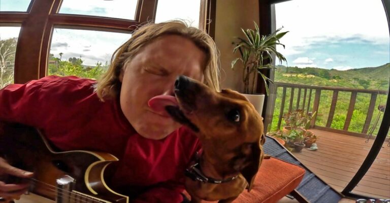 Ty Segall Unveils New Single ‘My Best Friend’