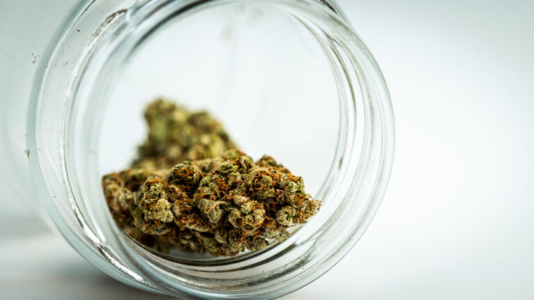 Nature’s Secret: Unveiling the Potency and Pleasures of Hash Products