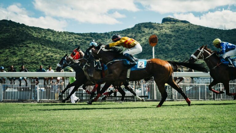 Get Your Tips Out Awarded “Most Profitable Horse Racing Tipster” 2024