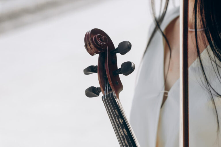 Double Bass Accessories: Perfecting Your Sound and Playability