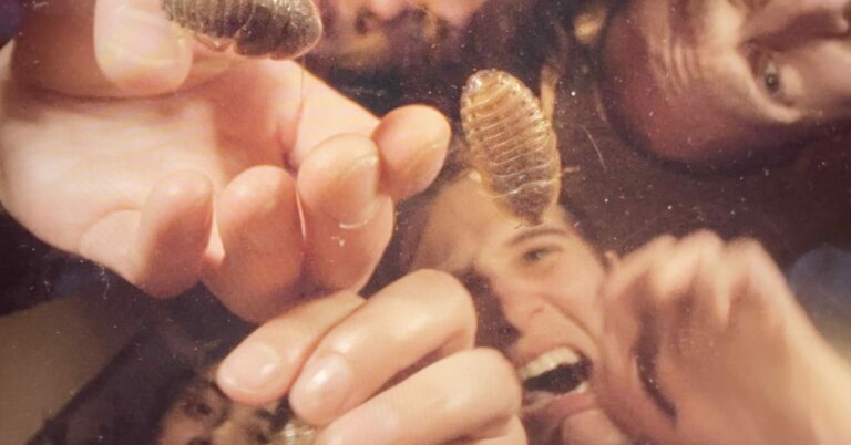 Crumb Unveil New Single ‘The Bug’