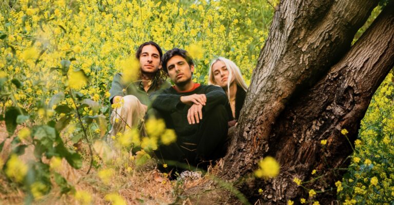 Peel Dream Magazine Announce New Album ‘Rose Main Reading Room’, Unveil New Song