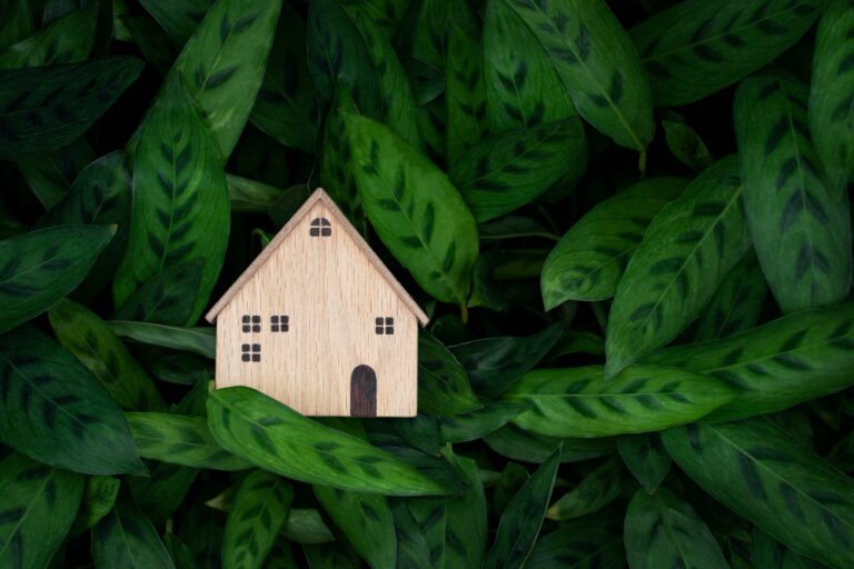 Sustainable Living: Eco-Friendly Home Features to Look For