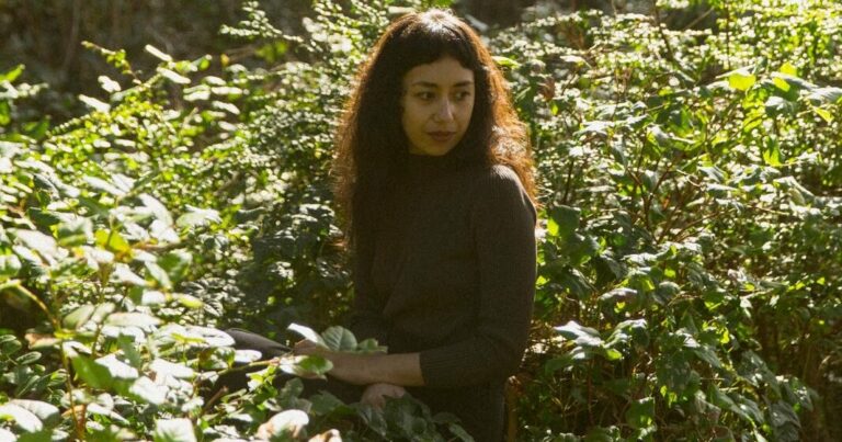 Haley Heynderickx Releases ‘Seed of a Seed’, First New Song In Six Years