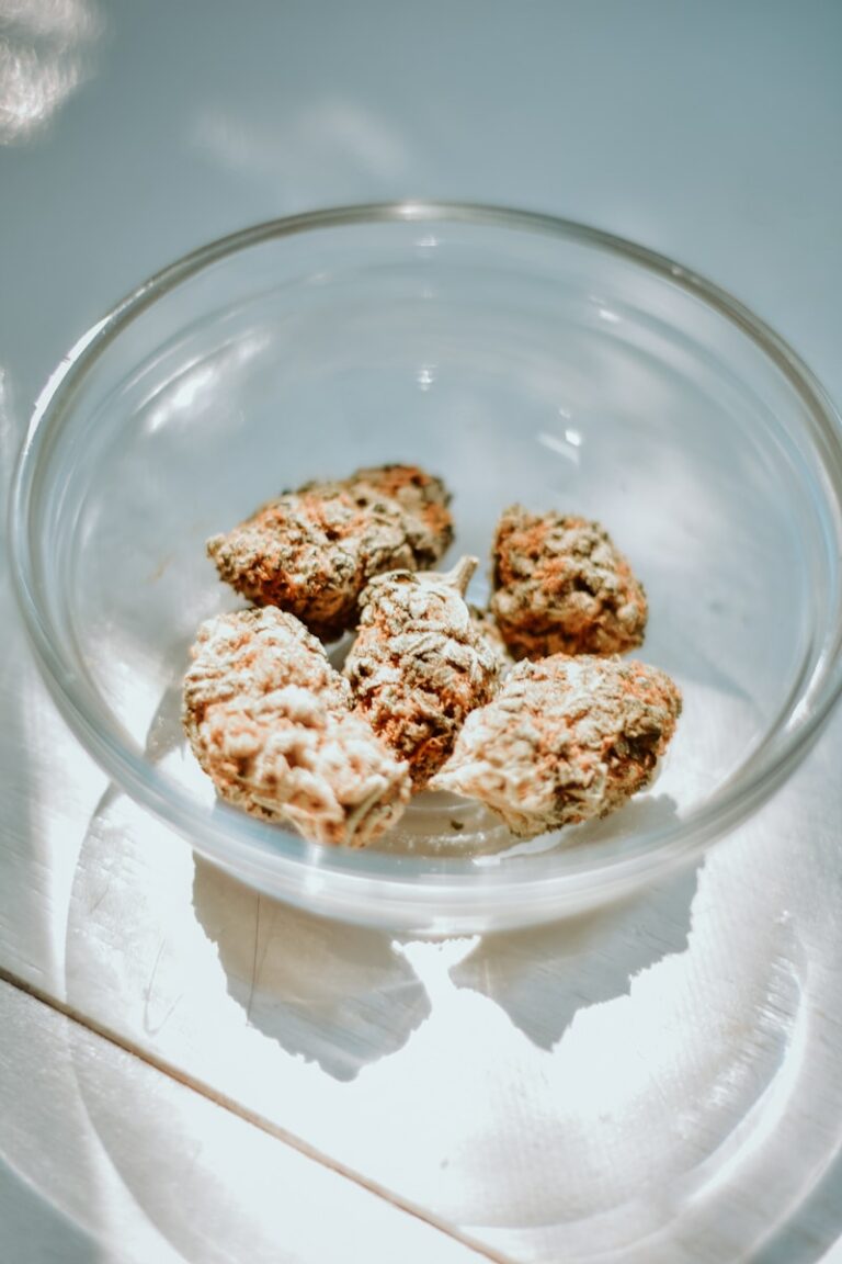 How to Store Your Marijuana Edibles for Maximum Freshness