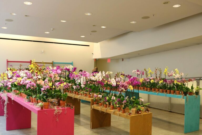 The Perfect Fusion of Culture and Nature: The 11th Annual “Taiwan: A World of Orchids” Exhibition Debuts in New York