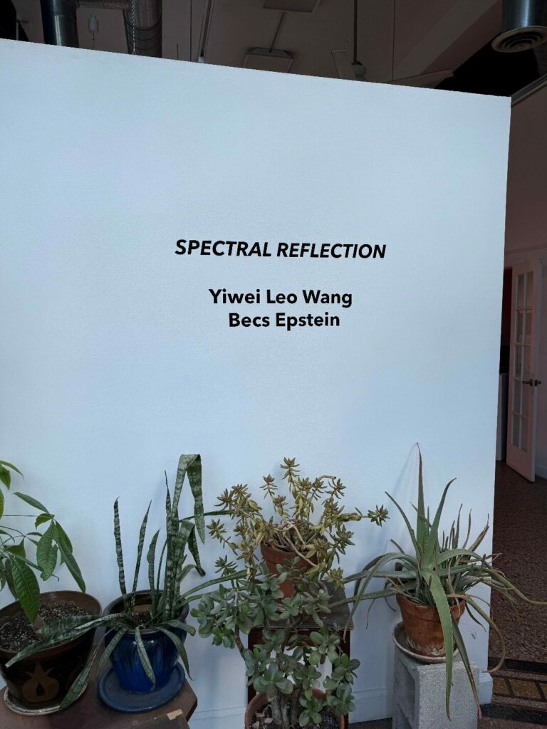 Spectral Reflection: Unveiling the Invisible Threads of Identity and Nature