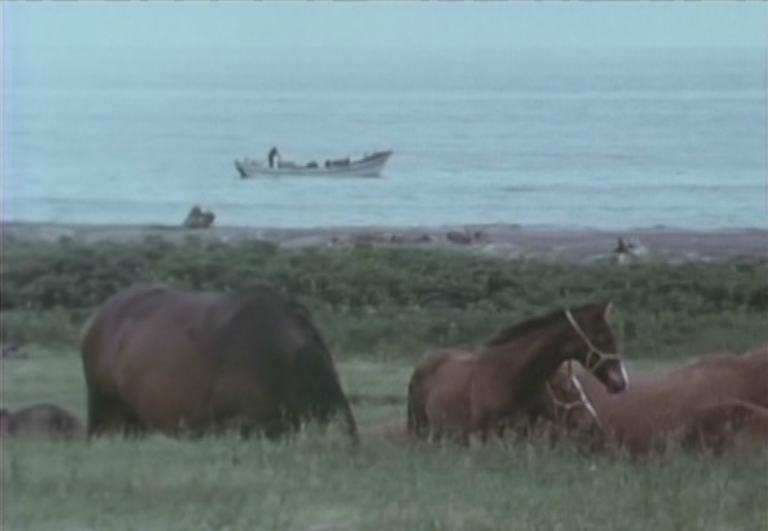 Song of the Horse (1971): Akira Kurosawa’s Television Documentary
