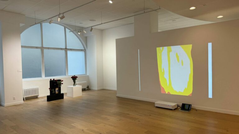 The Romantic Disorder: Ruiyan Sun Solo Exhibition