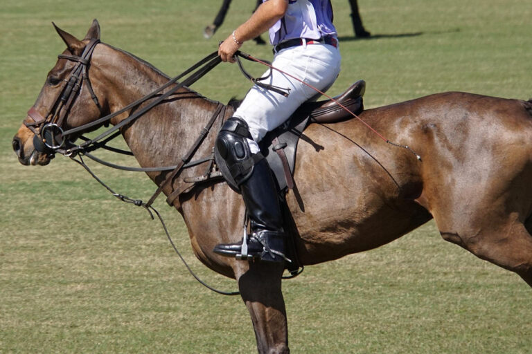 Equestrian Clothing Essentials: What Every Rider Needs in Their Wardrobe