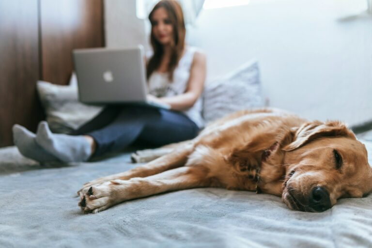 6 Best Tips for Maximizing Your Pet Insurance