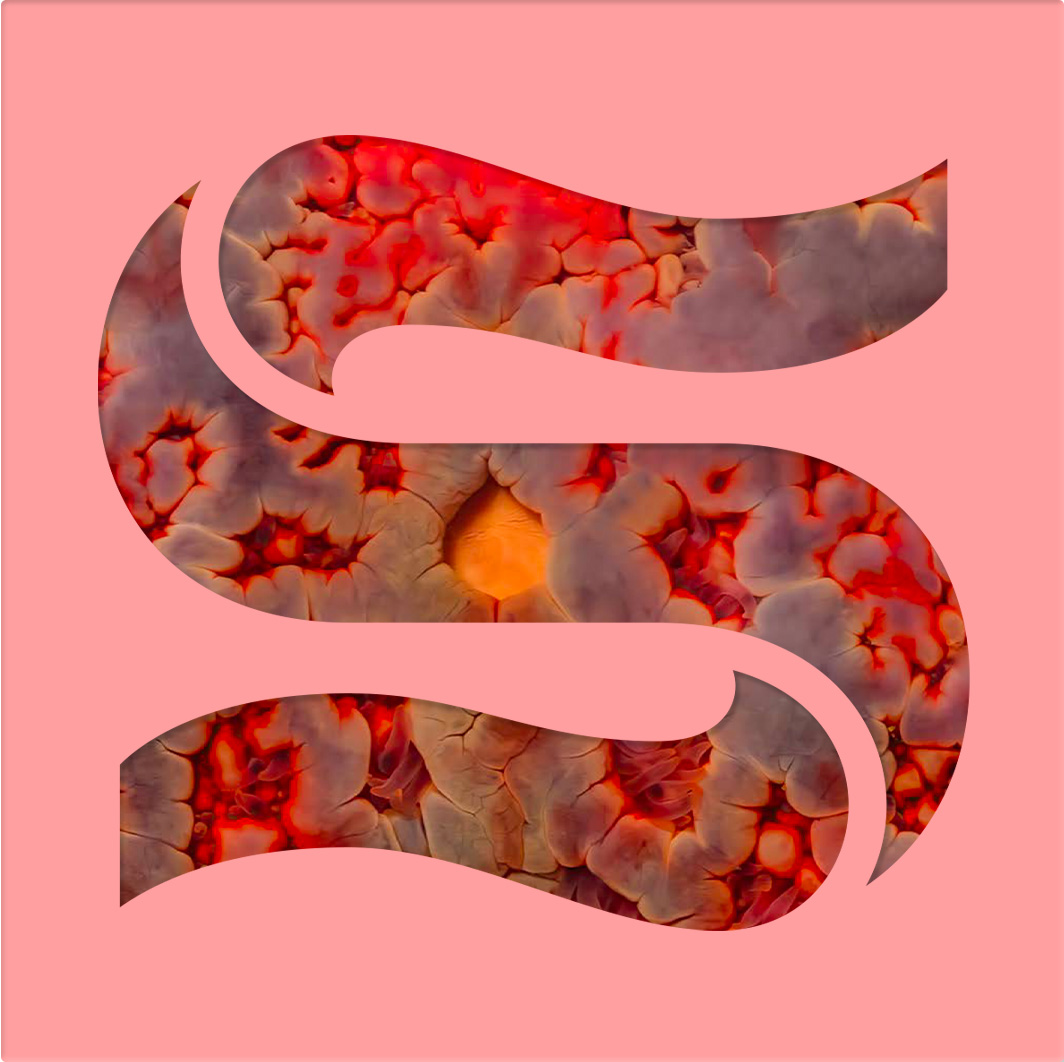 Kaitlyn Aurelia Smith and Joe Goddard Announce ‘Neptunes’ EP, Share New