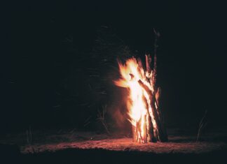 burning firewoods in the middle of deserted land