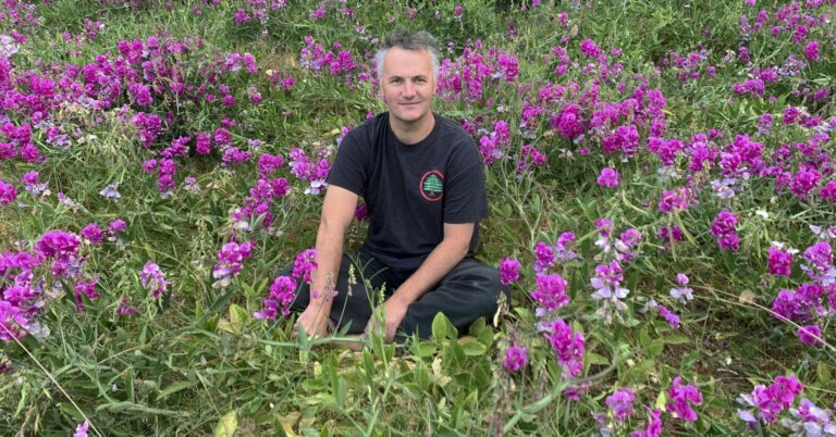 Mount Eerie Releases New Song ‘I Saw Another Bird’