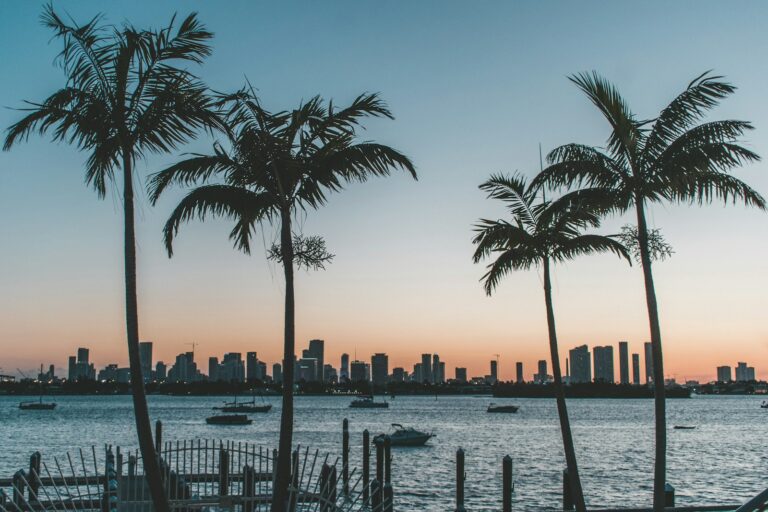 Top Spots in South Florida to Create Viral TikTok Videos