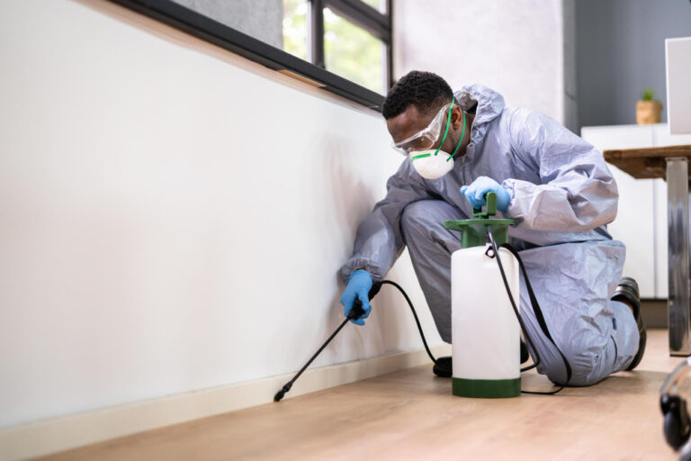 When to Call the Professionals: Signs of a Serious Pest Problem
