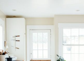 green potted leaf plant beside white wooden door
