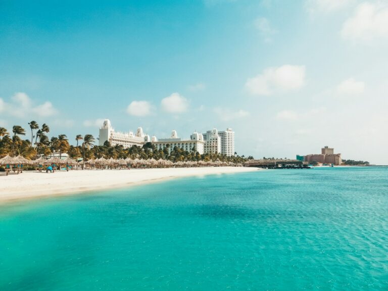 How to Spot the Best Palm Beach