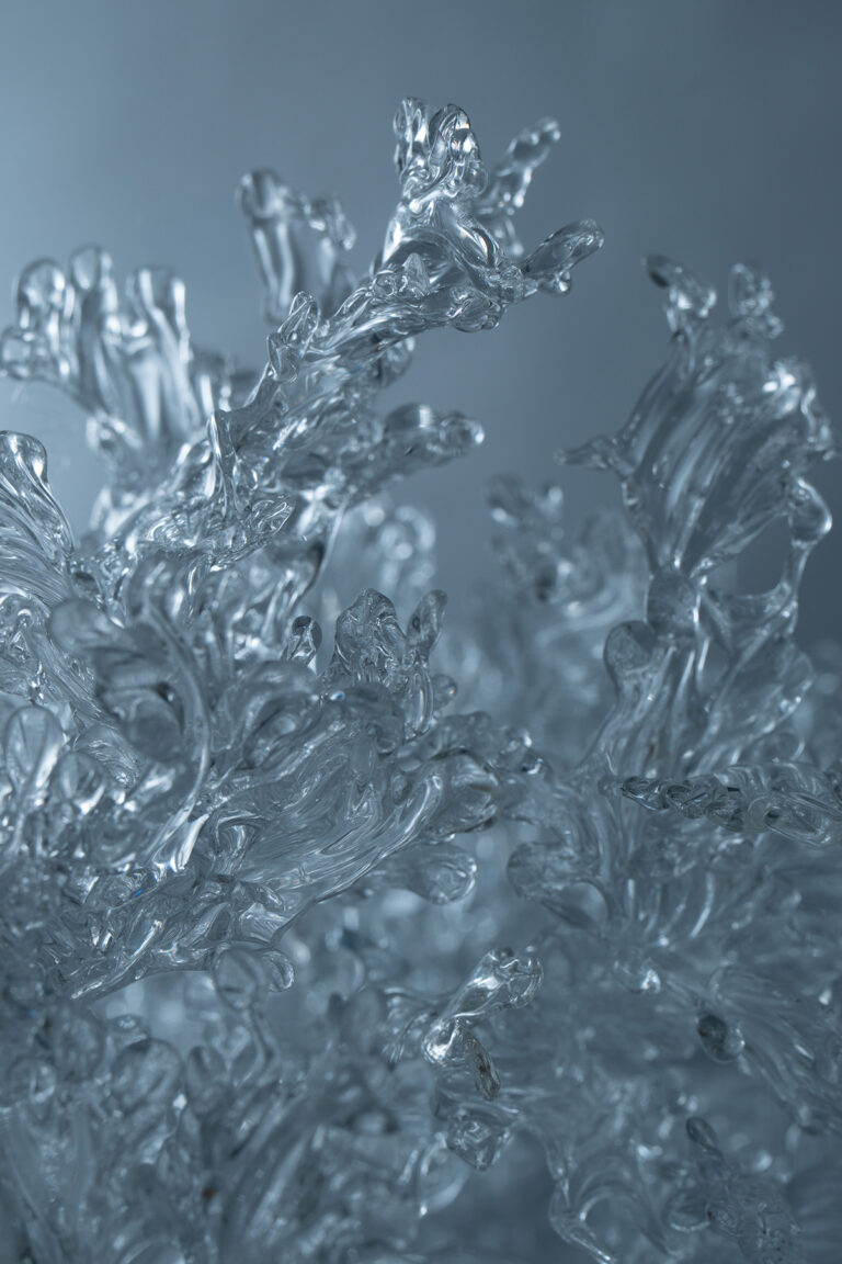 The Fragile Illumination of Yujie Yang’s Ephemeral I