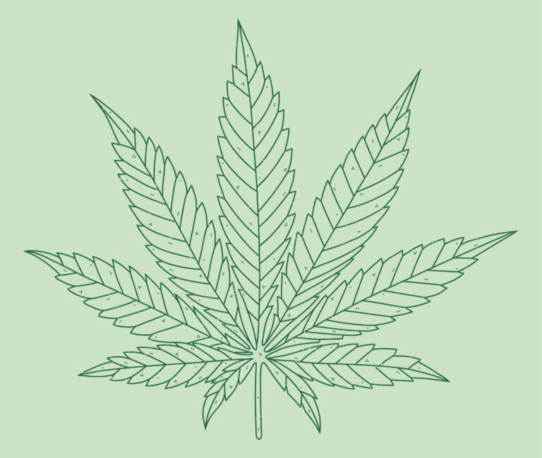 The Rise Of Ruderalis: How A Small Cannabis Species Is Transforming Home Growing