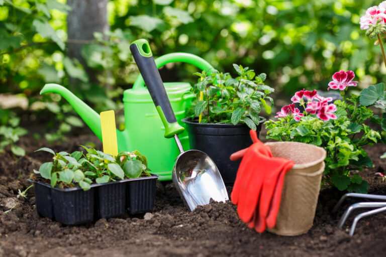 Improving a garden: why and how you can do it with minimal effort