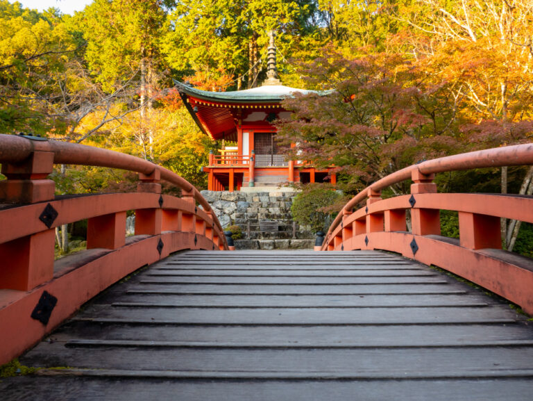 How to Get Used When Travelling in Japan