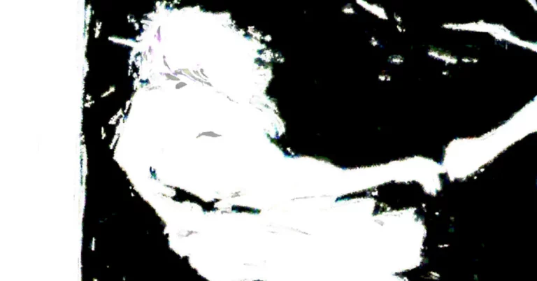 Parannoul Releases New Album As Huremic, ‘Seeking Darkness’