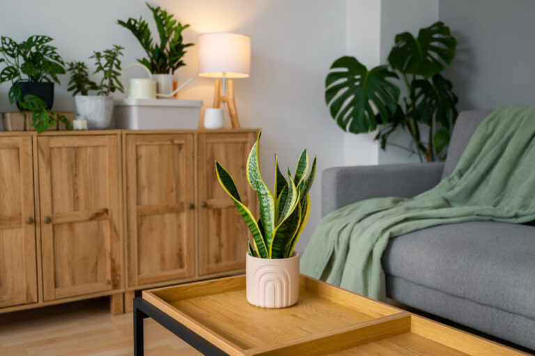 Tips for Decorating with Hues of Green