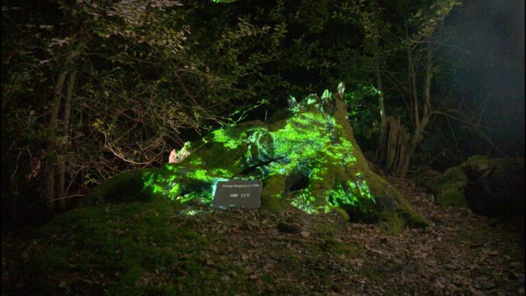 Tianyi Ren: Between Speculation and Reality—A New Dimension of Interactive Art