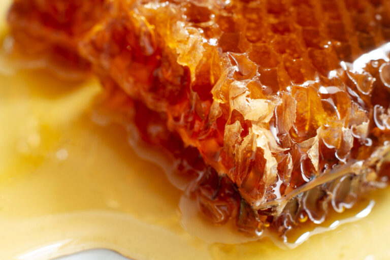 My Unforgettable Mad Honey Hunting Experience