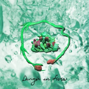 Danger in Fives Cover Artwork