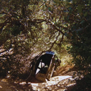 Ty Segall, Possession