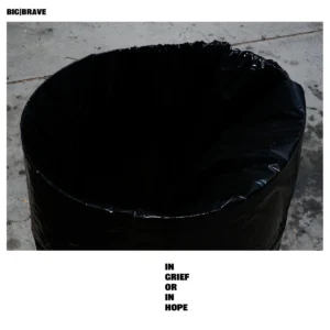 in grief or in hope cover
