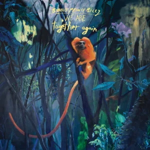 Bonnie_Prince_Billy_-_They_Keep_Trying_To_Find_You cover artwork