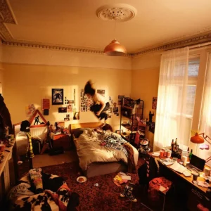 Cannonball album cover