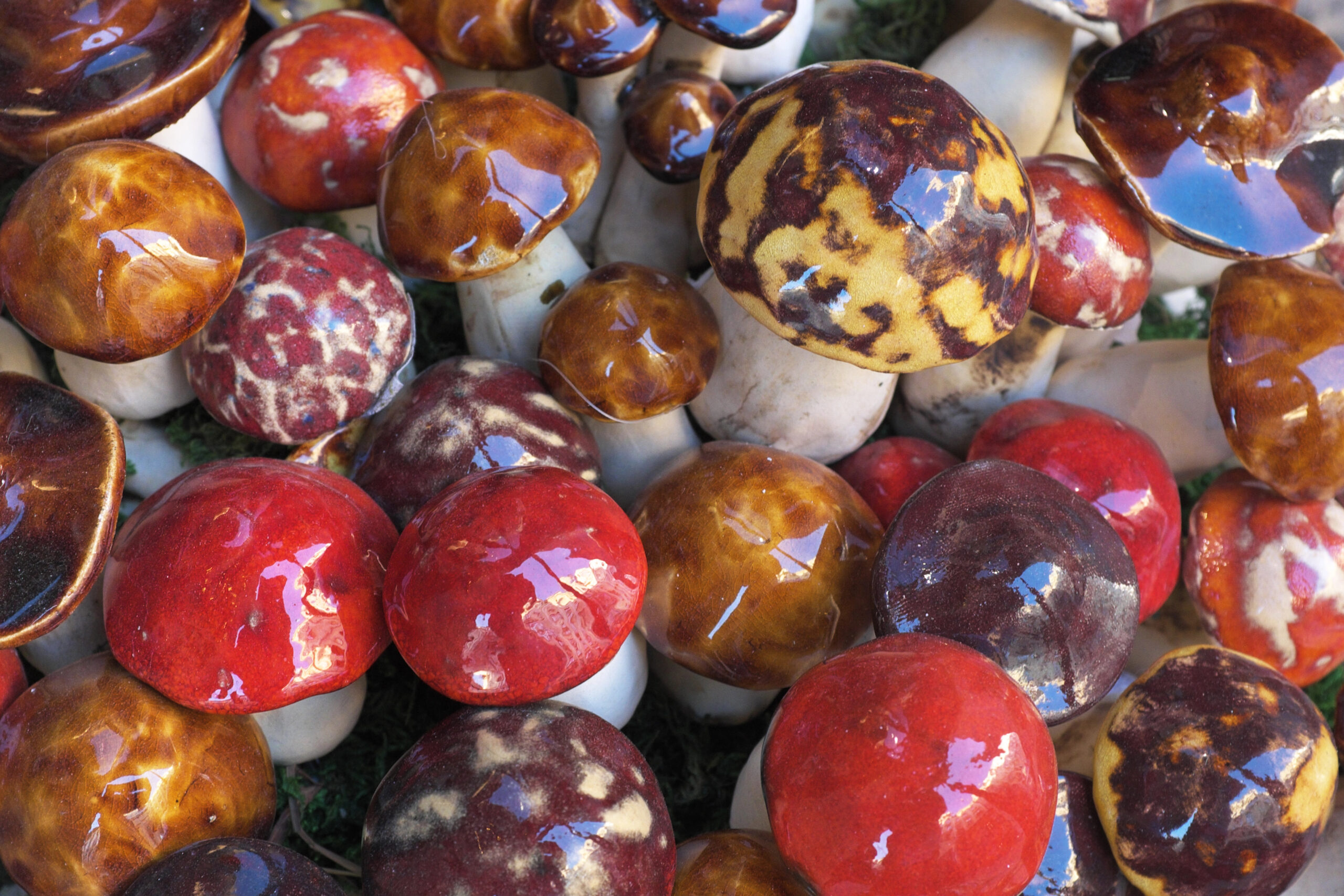 Four Artists Obsessed With Mushrooms - Our Culture