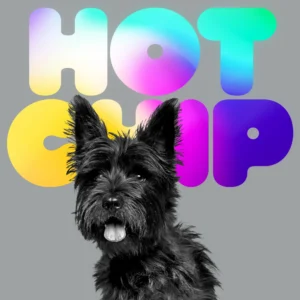 Hot_Chip_-_A_Long_Way_From_Kansas_-_Packshot_WIG534D.