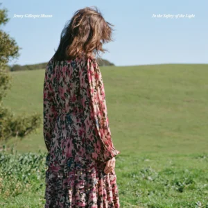 N-THE-SAFETY-OF-THE-LIGHT-ALBUM-COVER