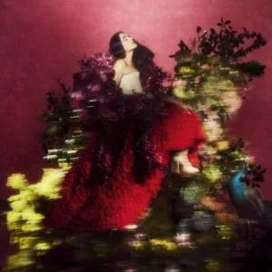 Superbloom album cover