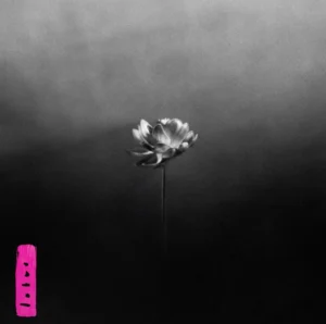 Little Simz, Lotus
